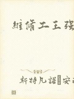 维修工王强张婷