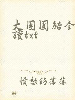 大团圆结全文阅读txt