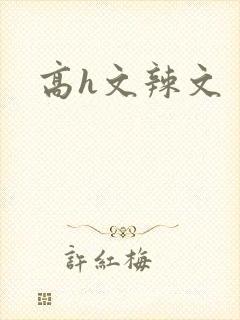 高h文辣文