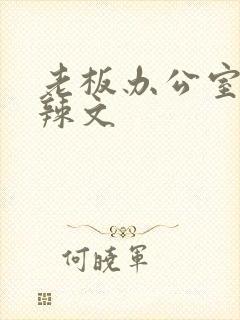 老板办公室系列辣文