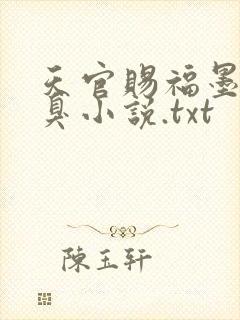 天官赐福墨香铜臭小说.txt