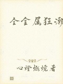 全金属狂潮小说封面