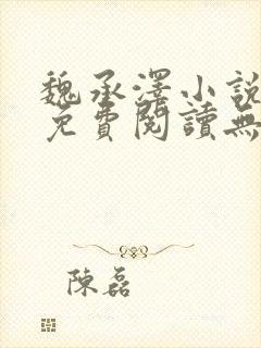 魏承泽小说全文免费阅读无弹窗笔趣