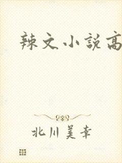 辣文小说高h
