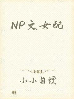 NP文女配封面