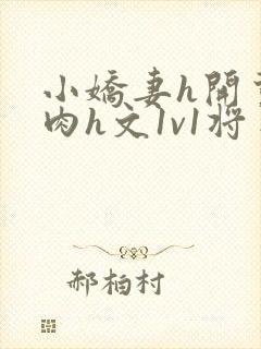 小娇妻h开荤粗肉h文1v1将军