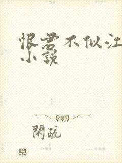 恨君不似江楼月小说