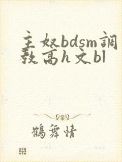 主奴bdsm调教高h文bl