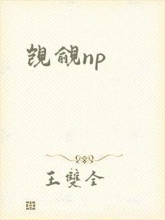 觊觎np
