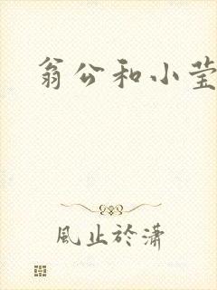 翁公和小莹