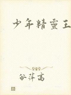 少年精灵王封面