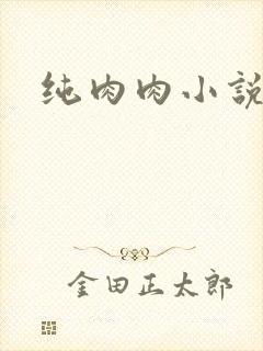 纯肉肉小说封面