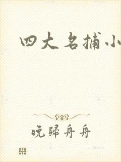 四大名捕小说