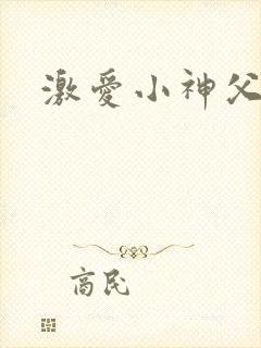 激爱小神父封面