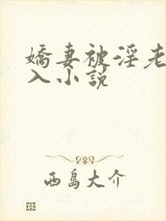 娇妻被淫老头进入小说封面