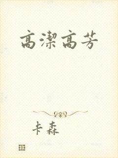 高洁高芳封面