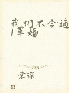 我们不合适1v1军婚