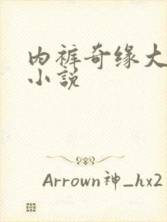 内裤奇缘大团结小说