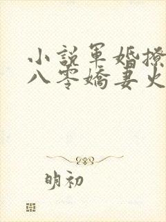 小说军婚撩人:八零娇妻火辣辣阅读