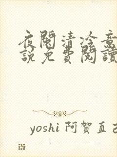 夜阑清冷意欢小说免费阅读