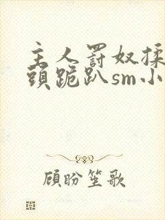 主人罚奴揉捏奶头跪趴sm小说