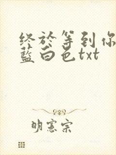 终于等到你小说蓝白色txt