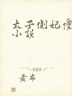 太子侧妃傻乎乎小说