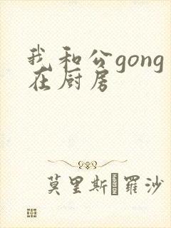 我和公gong在厨房