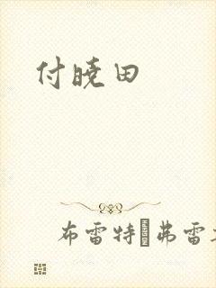 付晓田