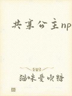 共享公主npc