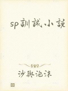 sp训诫小说