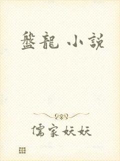 盘龙 小说