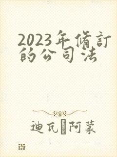 2023年修订的公司法