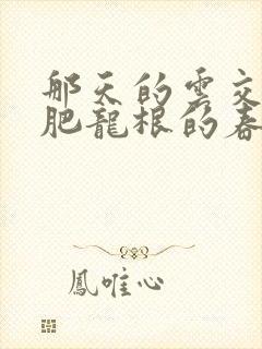 那天的云交雨合肥龙根的春天