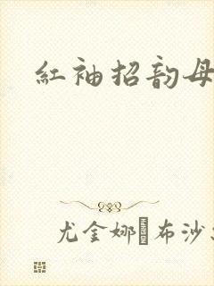 红袖招韵母攻略