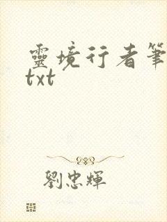 灵境行者笔趣阁txt