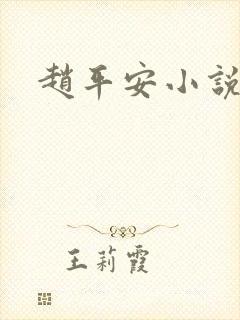 赵平安小说主角封面