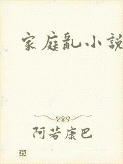 家庭乱小说封面