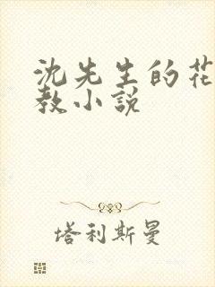 沈先生的花式调教小说