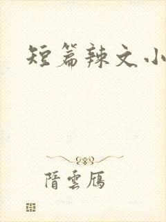 短篇辣文小说