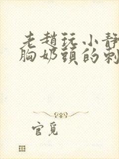 老赵玩小静揉捏胸奶头的刺激小说