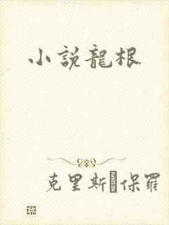 小说龙根