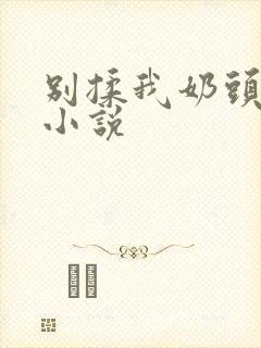 别揉我奶头嗯啊小说封面