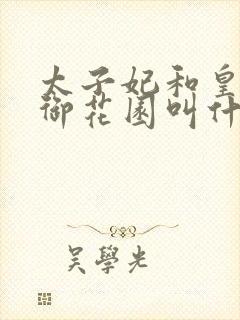 太子妃和皇帝在御花园叫什么小说