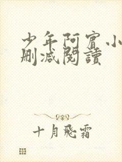 少年阿宾小说无删减阅读