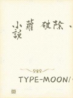 小萝 破除 小说封面