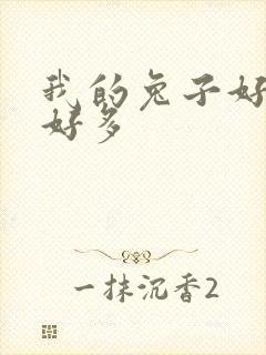 我的兔子好软水好多封面