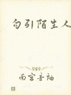 勾引陌生人封面