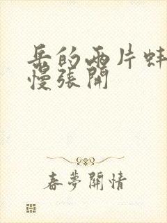 岳的两片蚌肉慢慢张开