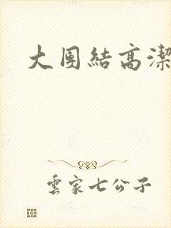 大团结高洁